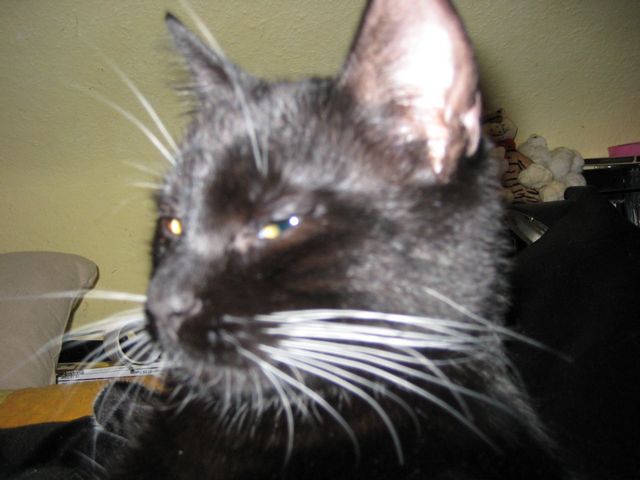 Bild 11